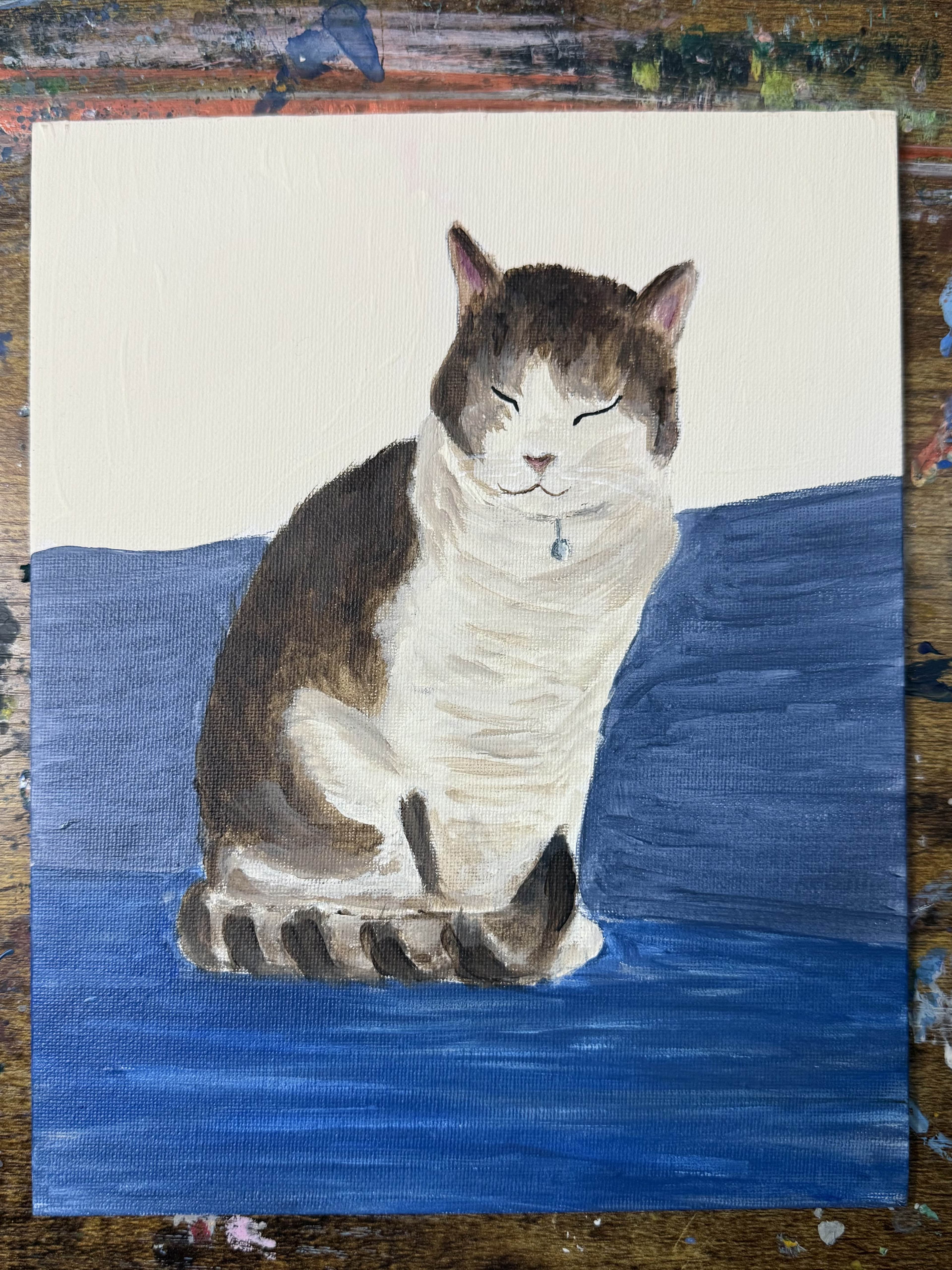 Cat posing for a picture